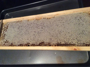 Someone asked Greenville Honey Co.; is honey good for you?  Is it better than sugar?